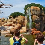 Bioparc-Valencia-entradas-y-horarios Bioparc Valencia